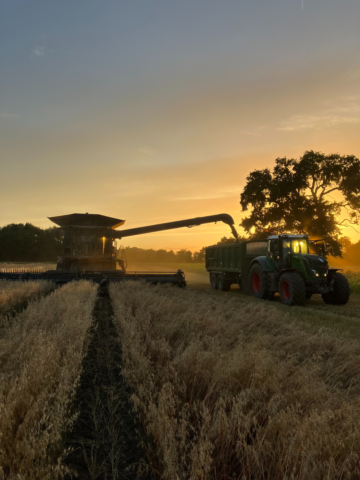 The working Oxfordshire farm — green fields, dry stone walls, livestock and an English sky